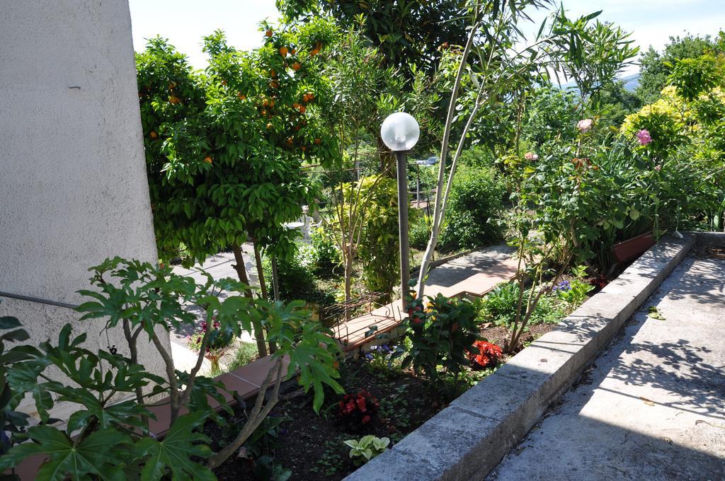 B&B La Palombara Giuliano di Roma Ngoại thất bức ảnh