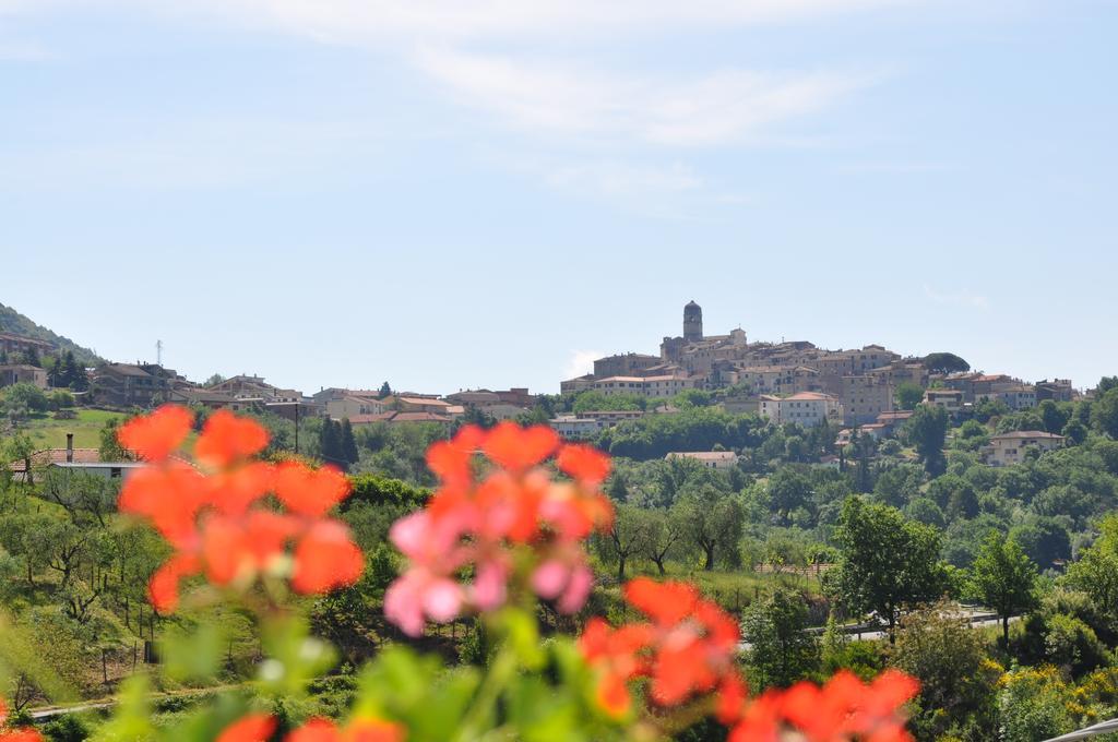 B&B La Palombara Giuliano di Roma Ngoại thất bức ảnh